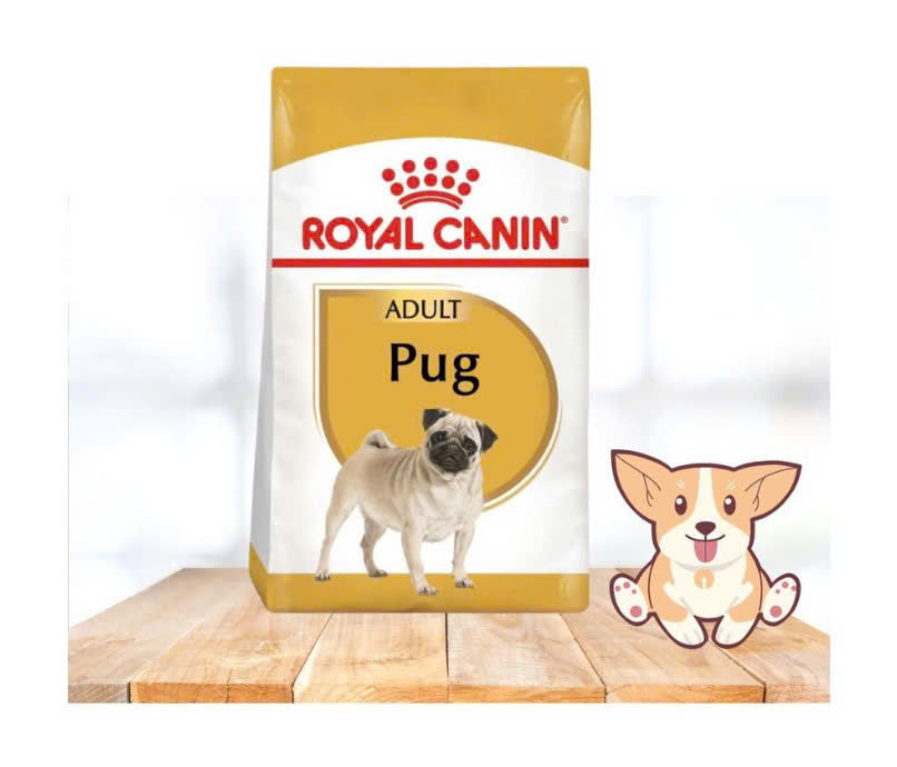 Thức Ăn Hạt Cho Chó Pug Royal Canin Pug Adult 