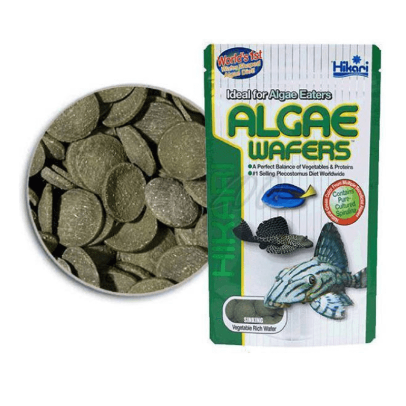 Thức Ăn Hikari Algae Wafers (250gram)| Cá Tầng Đáy, Pleco