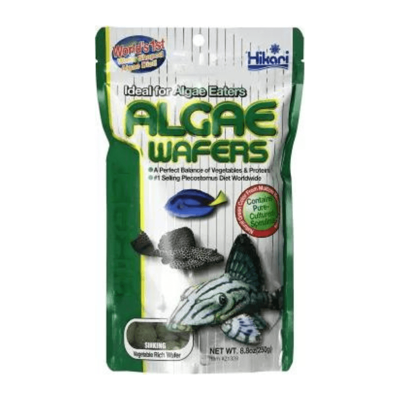 Thức Ăn Hikari Algae Wafers (250gram)| Cá Tầng Đáy, Pleco