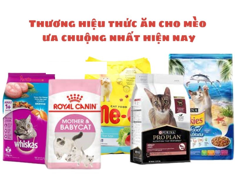 Thức Ăn Phù Hợp Cho Mèo 