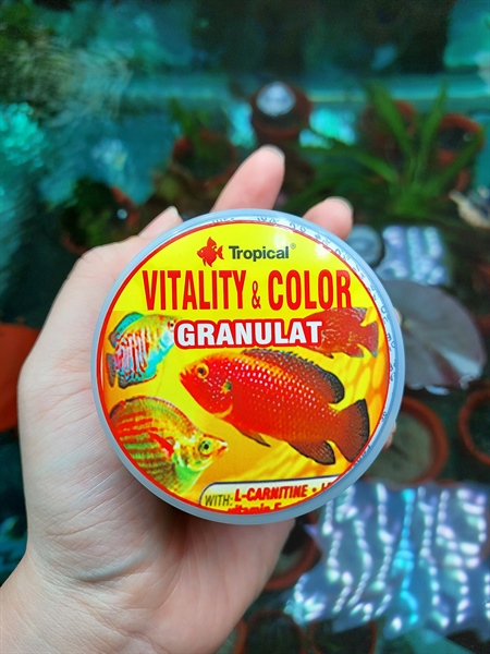 Thức ăn cá cảnh Tropical Vitality Color