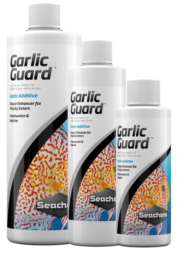 Thức ăn cá cảnh- Seachem GarlicGuard 250ml