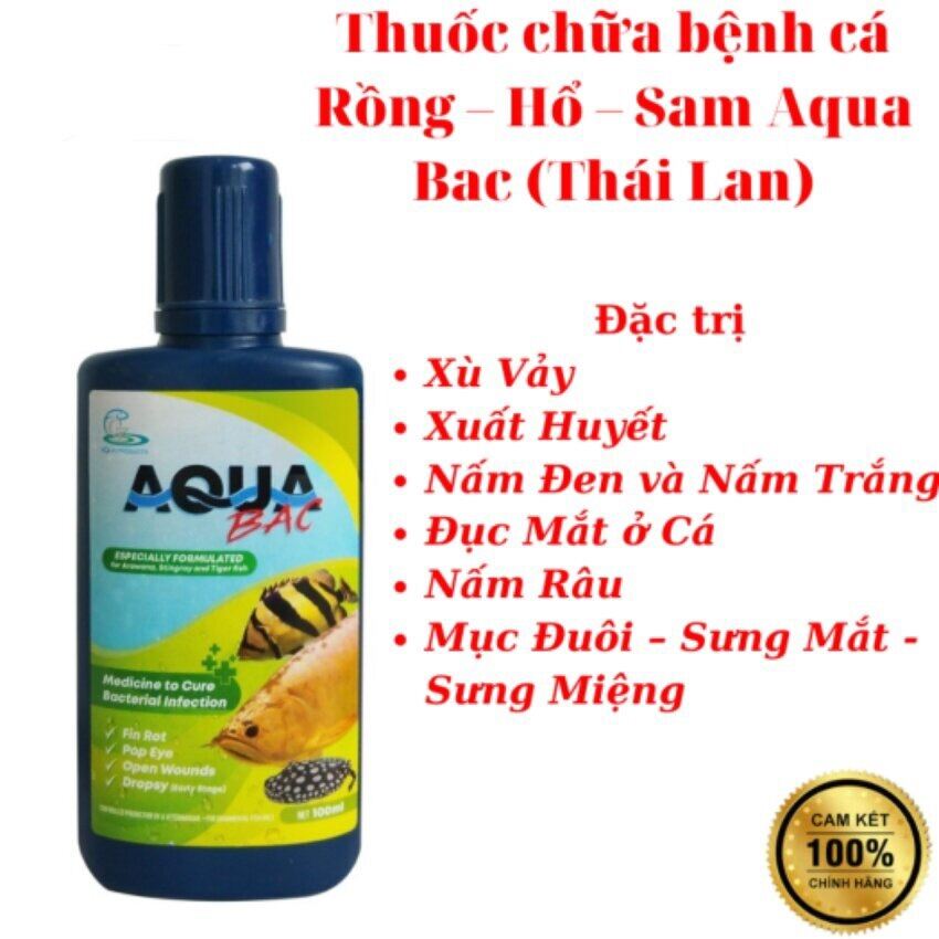 Thuốc Chứa Bệnh Cho Cá Rồng-Sam-Cá Hổ Aqua Bạc