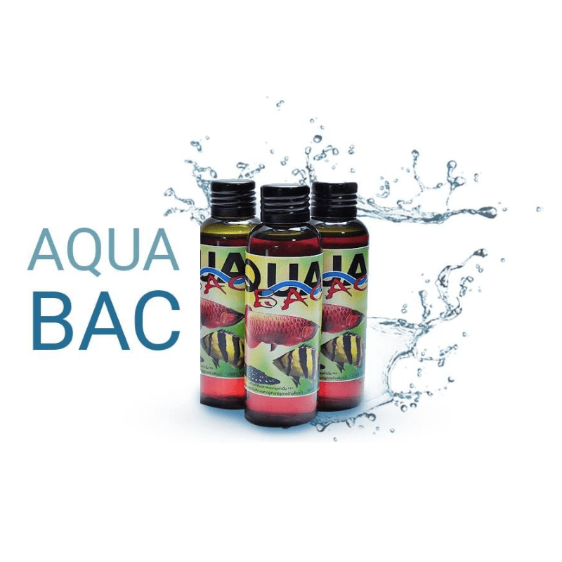 Thuốc Chứa Bệnh Cho Cá Rồng-Sam-Cá Hổ Aqua Bạc