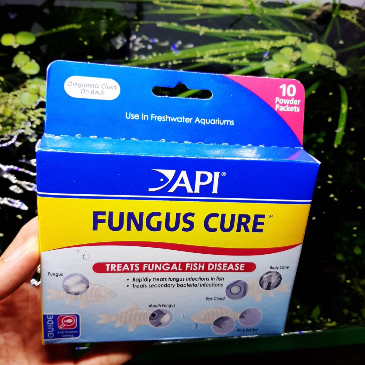 Thuốc Trị Bệnh Cá Cảnh API Fungus Cure