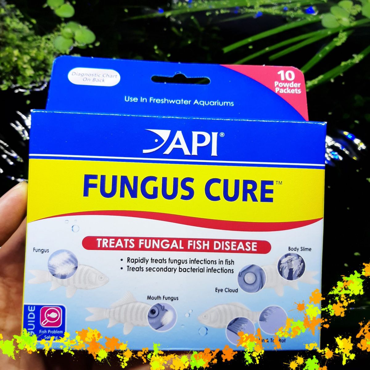 Thuốc Trị Bệnh Cá Cảnh API Fungus Cure