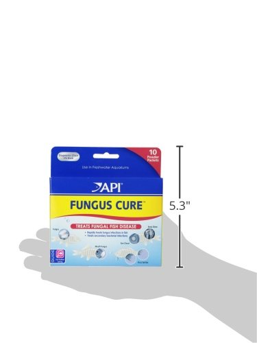 Thuốc Trị Bệnh Cá Cảnh API Fungus Cure