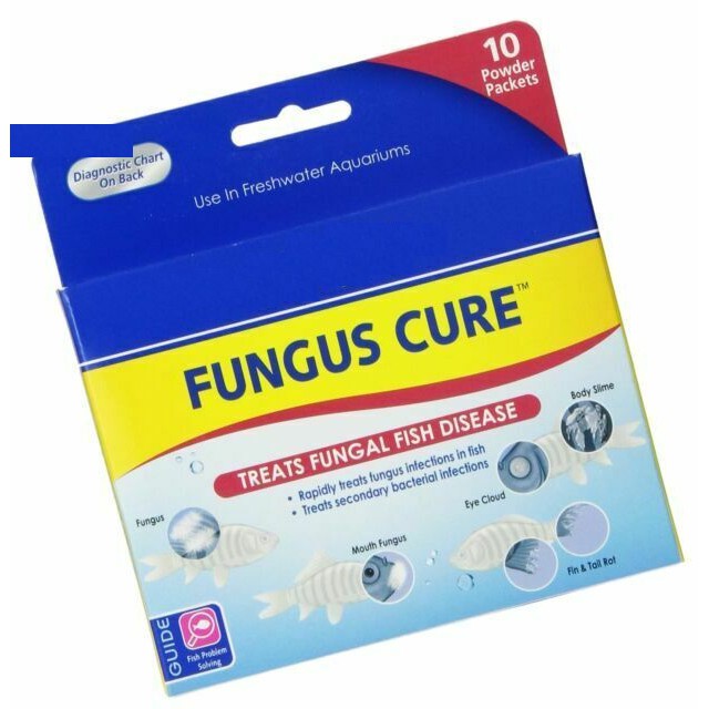 Thuốc Trị Bệnh Cá Cảnh API Fungus Cure