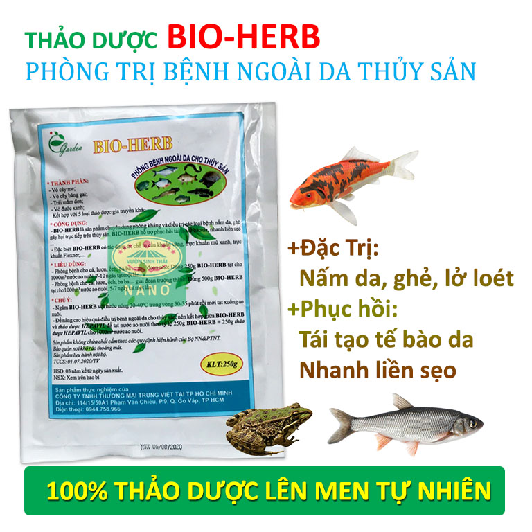 Thuốc Trị Bệnh Nấm Hiệu Quả Cho Cá Lóc Cảnh