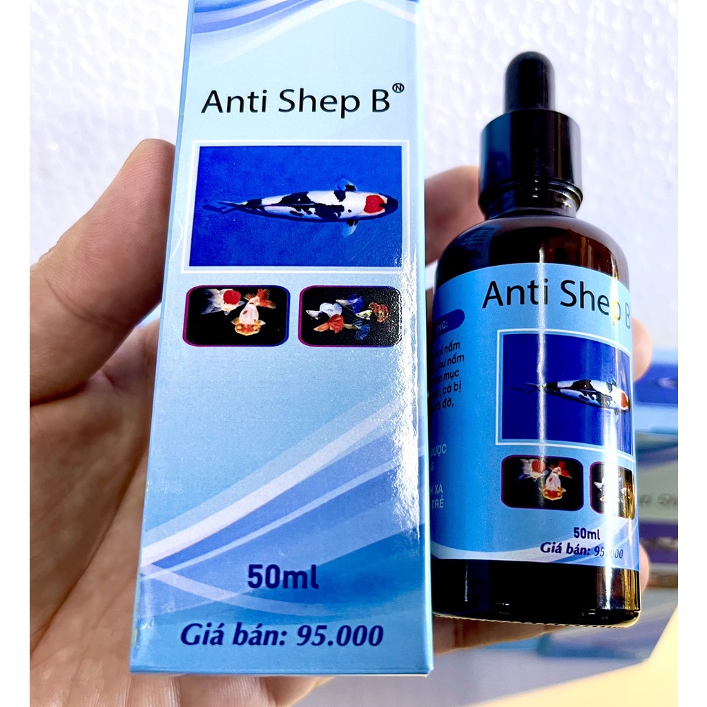 Thuốc Trị Nấm Cá Cảnh Anti Shep