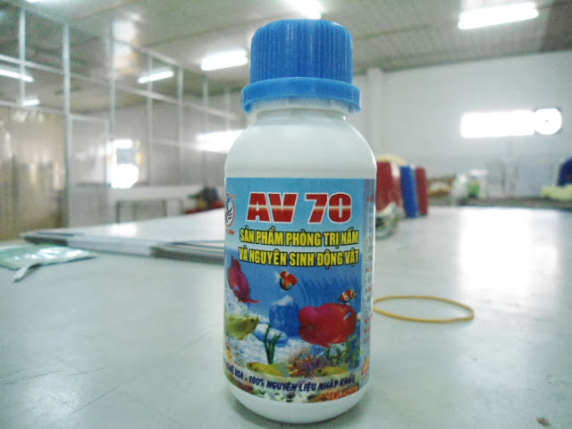 Thuốc Trị Nấm Cho Cá Cảnh AV70