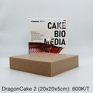 Vật Liệu Lọc Dodofly Dragon Cake 20.20.5cm