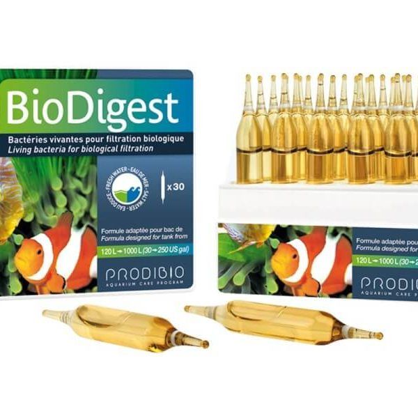 Vi Sinh Tươi Prodibio Biodigest