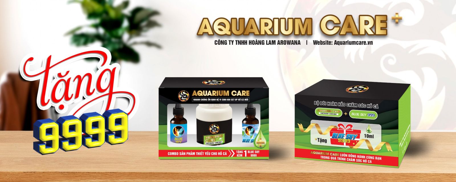 Vi sinh aquarium care