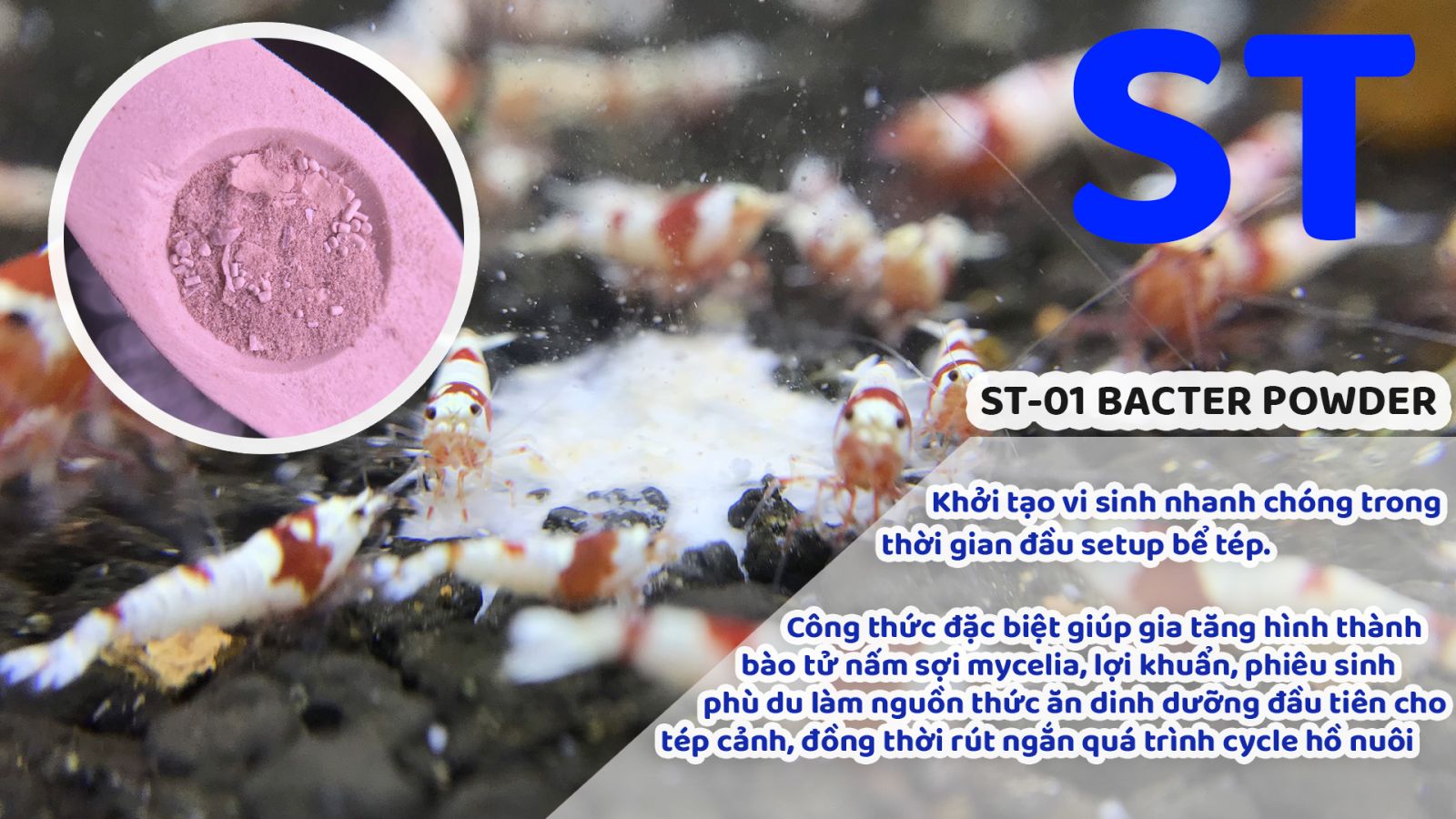 Vi sinh bột cho tép ST01 Bacter Powder