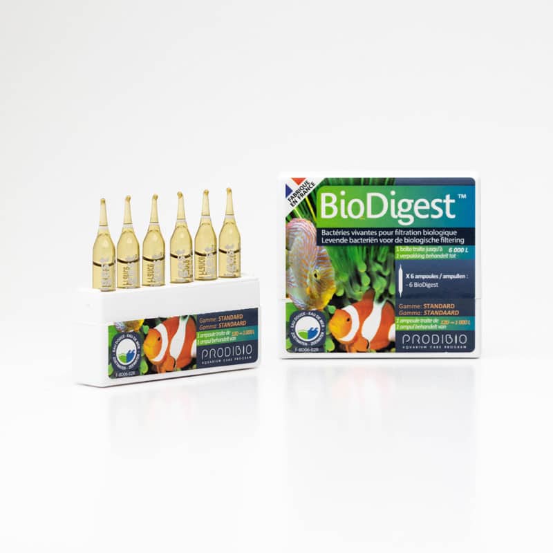 Vi sinh sống BioDigest