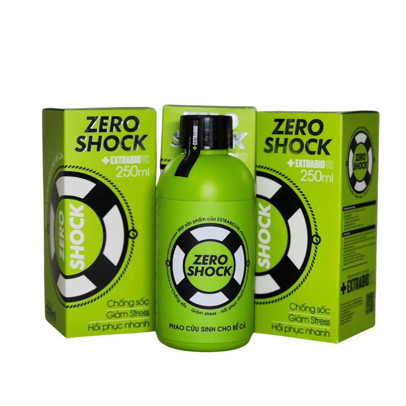 Zero Shock