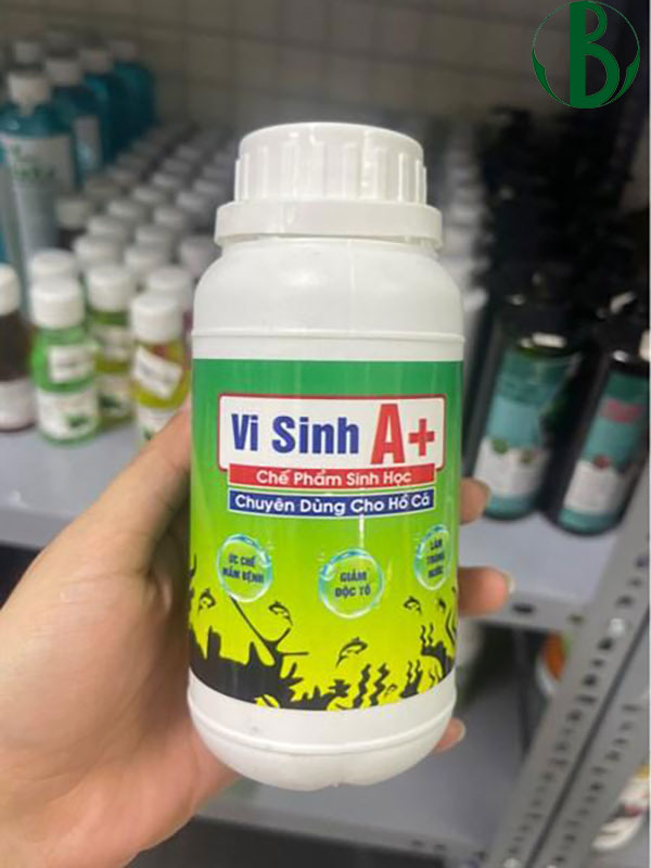 Vi sinh A+ – Chế Phẩm Vi Sinh Cho Hồ Cá