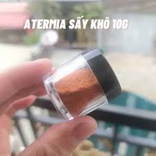 Atermia