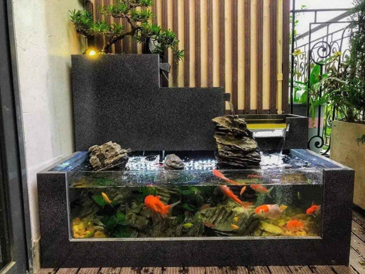 Vi Sinh Aquarium Care