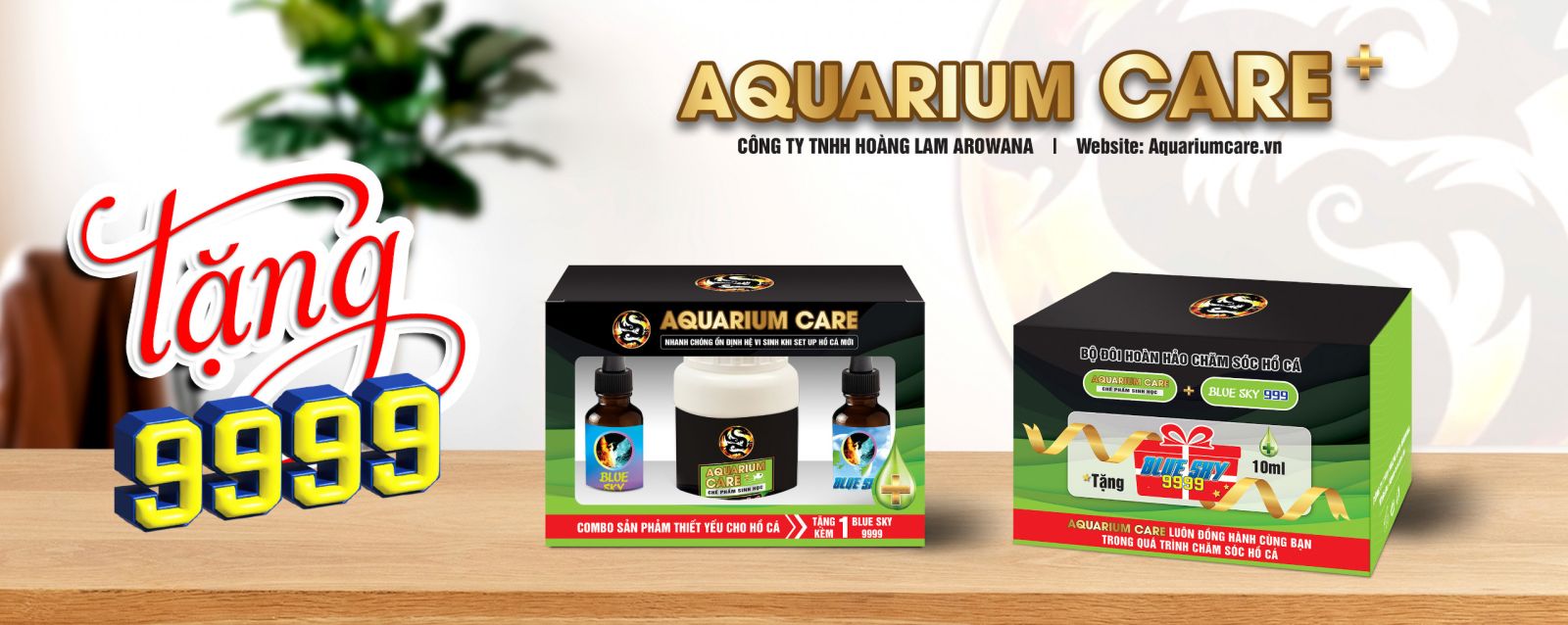 Vi Sinh Cá Cảnh Aquarium Care