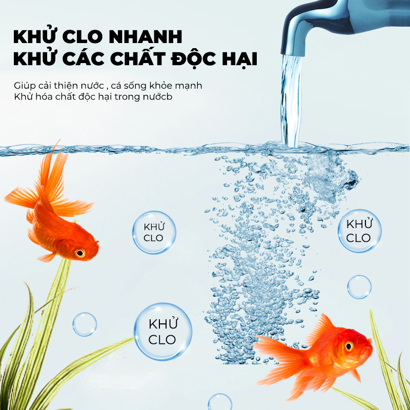 Nước hồ cá