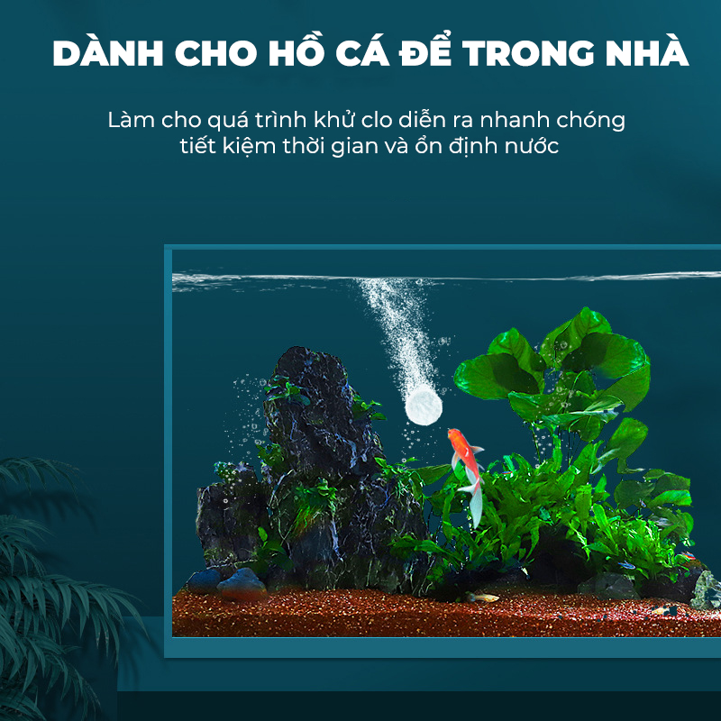 khử nước hồ cá