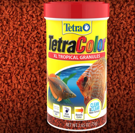 tetra color