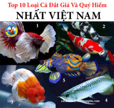 cửa hàng