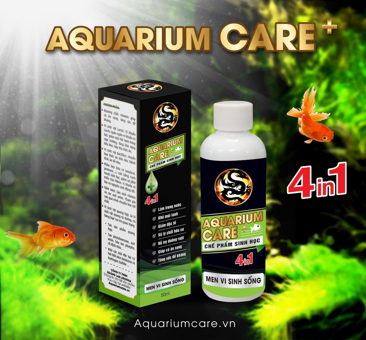 Aquarium Care